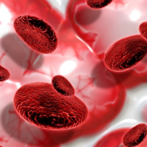 холестирамин купить