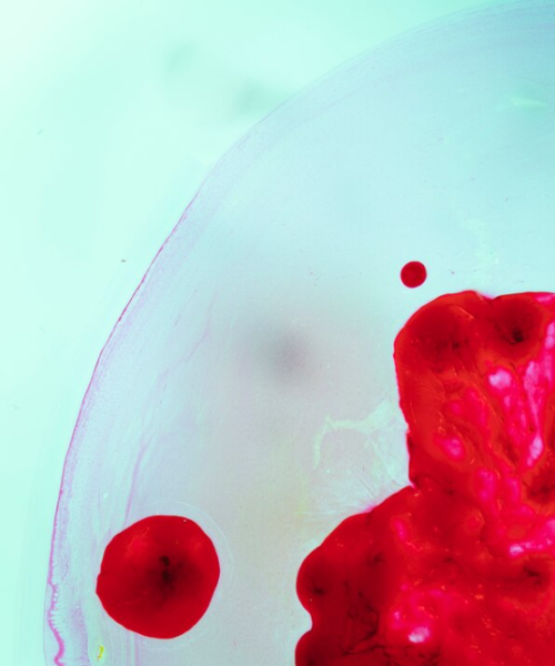 холестирамин инструкция по применению